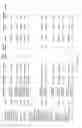 Fig. 100 - Test kits and methods for their use in detecting expression ratios of genetic markers