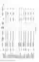 Fig. 88 - Test kits and methods for their use in detecting expression ratios of genetic markers
