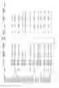 Fig. 91 - Test kits and methods for their use in detecting expression ratios of genetic markers