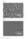 Fig. 02 - Method for producing plated article