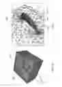 Fig. 15 - METHODS AND SYSTEMS FOR COMPLEX HYDRAULIC FRACTURING OPERATIONS AND HYDROCARBON RECOVERY