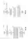 Fig. 26 - Method for controlling transitions in a variable displacement engine