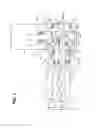 Fig. 02 - Uniaxial eccentric screw pump