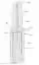 Fig. 01 - SUCKER ROD AND END FITTING WITH COMPRESSION PRESET