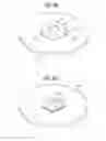 Fig. 08 - Self-piercing nut element and componet assembly consisting of the nut element and a sheet metal part