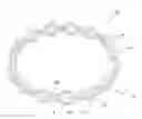 Fig. 01 - Cage for ball bearings