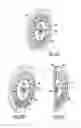 Fig. 04 - Disc brake rotor