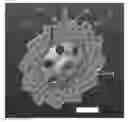Fig. 01 - BRAKE WITH AUDIBLE LOCK-UP WARNING