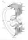 Fig. 04 - Torsional vibration dampers