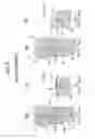 Fig. 07 - Metal belt for continuously variable transmission