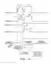 Fig. 05 - Method for operating an automatic transmission