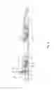 Fig. 07 - Pipe joint