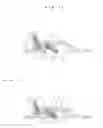Fig. 10 - Pipe joint