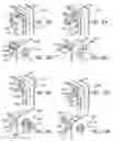 Fig. 07 - Fixture housing using dog ears
