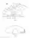 Fig. 05 - Light emitting device and backlight source