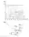 Fig. 04 - Heat pump for using environmentally compatible coolants