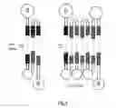Fig. 07 - VERTICAL MULTIPLE PASSAGE DRAINABLE HEATED SURFACES WITH HEADERS-EQUALIZERS AND FORCED CIRCULATION
