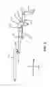 Fig. 03 - Flex-fire technology