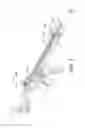 Fig. 06 - Sight Assembly
