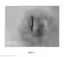 Fig. 03 - Ballistic material