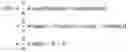 Fig. 05 - Phase-locked loop (PLL)-type resolver/converter method and apparatus