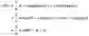 Fig. 06 - Phase-locked loop (PLL)-type resolver/converter method and apparatus