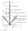 Fig. 01 - Interferometric encoder systems having at least partially overlapping diffracted beams