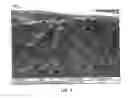 Fig. 10 - Sensor with protective layer