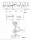 Fig. 07 - Method and data processing device for determining a spacing of rolling elements