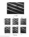 Fig. 04 - Method and system for the vibration analysis of an engine