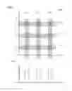 Fig. 05 - Particle analysis and sorting apparatus and methods