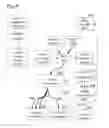 Fig. 07 - Particle analysis and sorting apparatus and methods