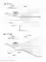 Fig. 17 - Particle analysis and sorting apparatus and methods