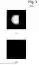 Fig. 10 - Image forming cytometer