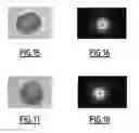 Fig. 05 - Method for observing organisms and associated system