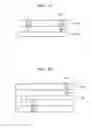 Fig. 10 - Authentication structure/apparatus and method