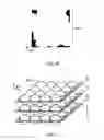 Fig. 13 - CELL OBSERVATION METHOD, CELL OBSERVATION APPARATUS, READABLE MEDIA, METHOD FOR PRODUCING CELL SHEET AND APPARATUS FOR PRODUCING CELL SHEET