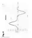 Fig. 10 - LIQUID CONTAMINANT SENSOR SYSTEM AND METHOD