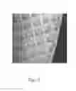 Fig. 03 - Dual-function wafer handling apparatus