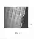 Fig. 05 - Dual-function wafer handling apparatus