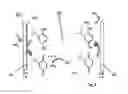 Fig. 05 - Electrochemical gas sensor, liquid electrolyte and use of a liquid electrolyte in an electrochemical gas sensor