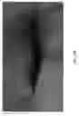 Fig. 21 - System and method for analysis of fibre reinforced composites