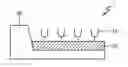 Fig. 01 - Peptide selectively binding to volatile organic compounds