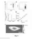 Fig. 05 - Selecting and isolating desirable t lymphocytes by change in mass responses