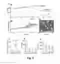 Fig. 08 - Selecting and isolating desirable t lymphocytes by change in mass responses