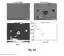 Fig. 11 - Selecting and isolating desirable t lymphocytes by change in mass responses