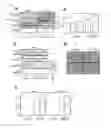 Fig. 06 - CANCER EXAMINATION METHOD AND EXAMINATION KIT