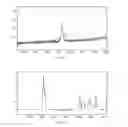 Fig. 07 - Apparatus and method for preconcentrating and transferring analytes from surfaces and measurement thereof using spectroscopy