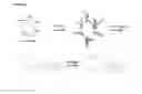 Fig. 07 - USE OF METAL COMPLEXES