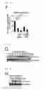 Fig. 04 - Method for determining prognosis of cancer